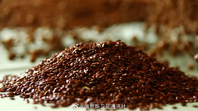 亚麻.jpg 亚麻.jpg