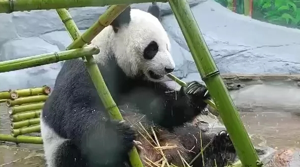 微信截图_20240801073924.png