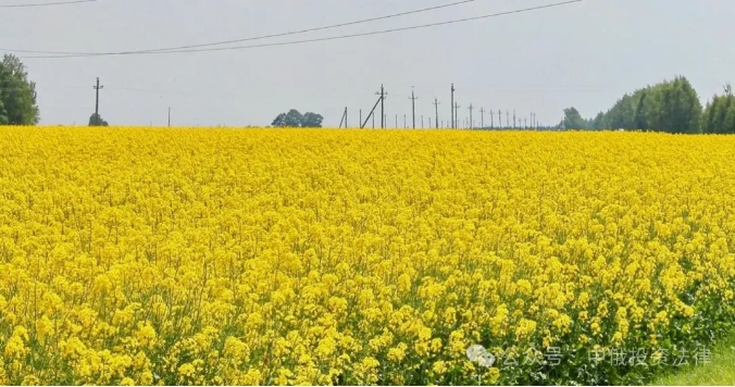 微信截图_20241107102458.png