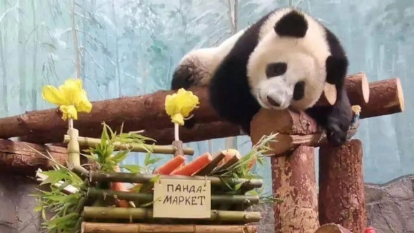 微信截图_20241129095133.png