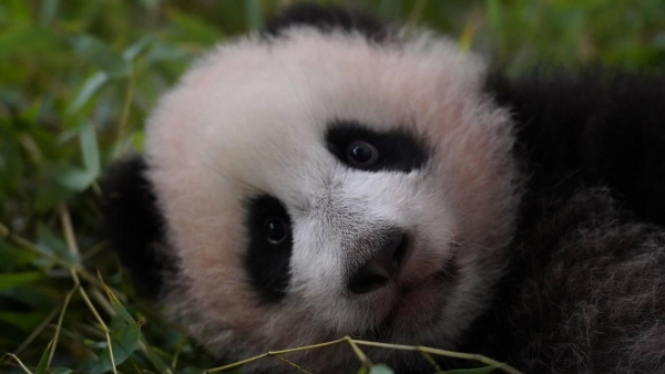 微信截图_20250123101257.png