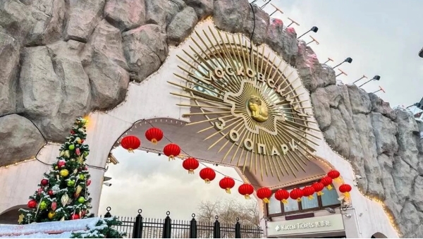 微信截图_20250205140031.png