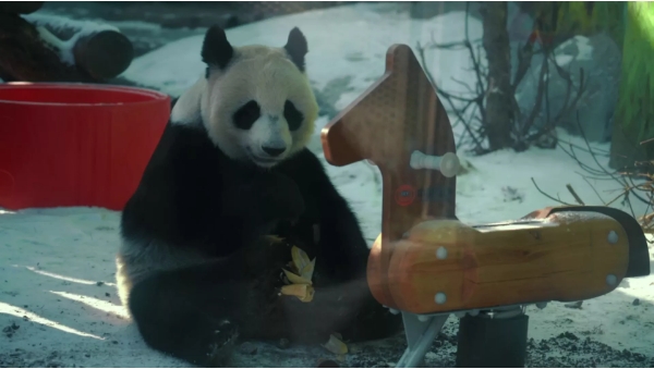 微信截图_20250219163510.png