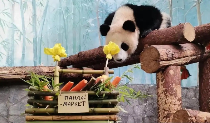 微信截图_20250326155400.png