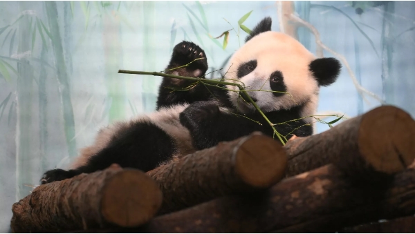 微信截图_20250424200621.png
