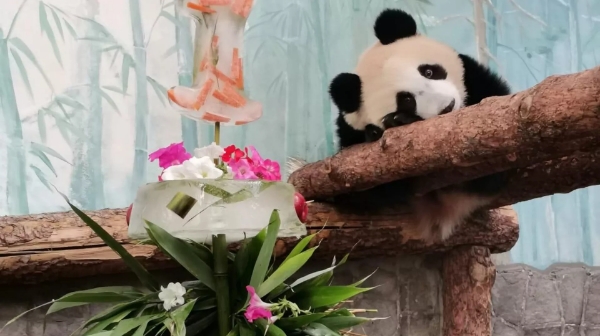微信截图_20250506152645.png