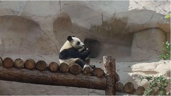 微信截图_20250729145033.png