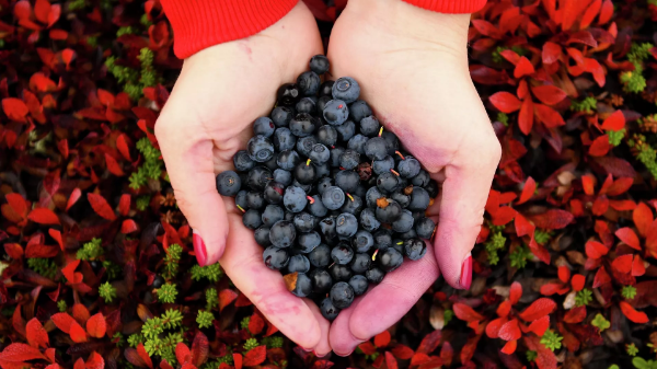 ScreenShot_2026-01-23_134423_048.png